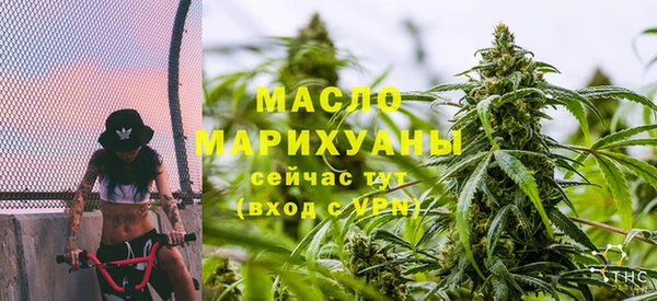 гидра Абаза