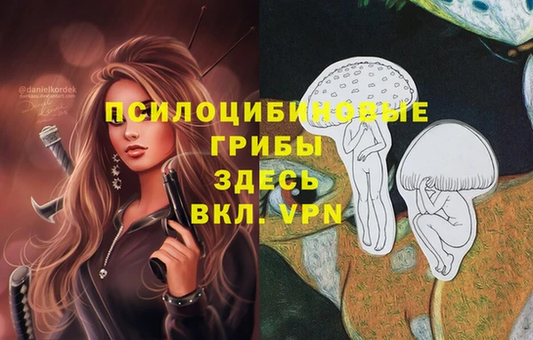 экстази Абинск