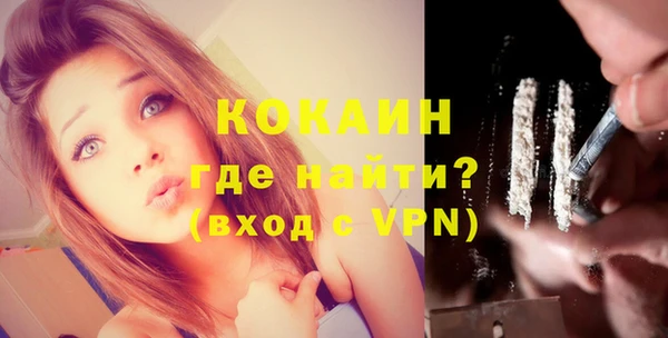 гидра Абаза