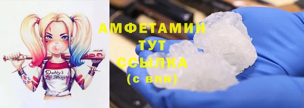 гидра Абаза
