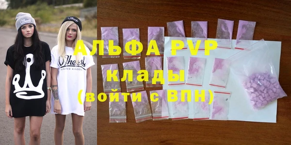 гидра Абаза