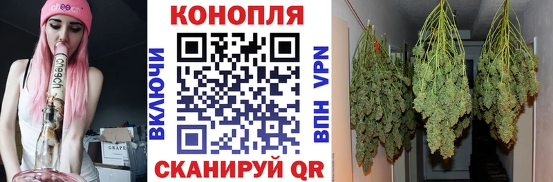 Конопля сатива  где можно купить   Уфа 
